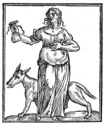 Avarizia